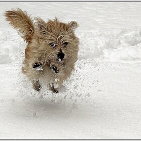 ������� � �����.